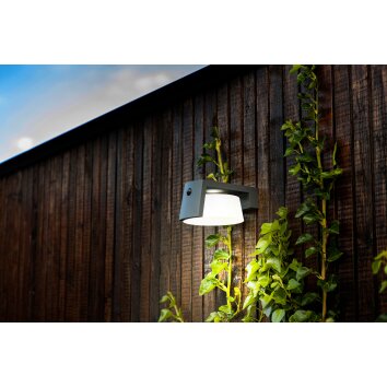 Lutec Moon Solarlamp LED Antraciet, 1-licht, Bewegingsmelder