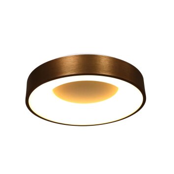 Steinhauer Ringlede Plafondlamp Brons, 1-licht