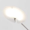 Steinhauer Daphne Staande lamp LED Staal geborsteld, 1-licht