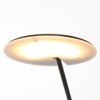 Steinhauer Daphne Staande lamp LED Zwart, 1-licht