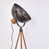 Tholen Staande lamp Bruin, 1-licht