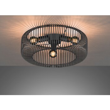 SCHÖNER WOHNEN-Kollektion Cage Plafondlamp Zwart, 3-lichts