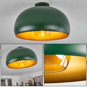 Gaudi Plafondlamp Goud, Groen, 1-licht