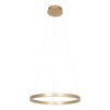 Steinhauer Ringlux Hanger LED Goud, 2-lichts