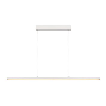 Lucide SIGMA Hanglamp LED Wit, 1-licht