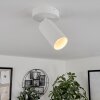 Trutielle Plafondlamp Wit, 1-licht