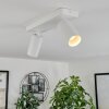 Trutielle Plafondlamp Wit, 2-lichts