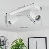 Trutielle Plafondlamp Wit, 2-lichts