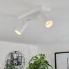 Trutielle Plafondlamp Wit, 2-lichts