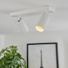 Trutielle Plafondlamp Wit, 2-lichts