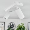 Trutielle Plafondlamp Wit, 2-lichts