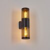 Tolsona Buiten muurverlichting Zwart, 2-lichts
