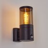 Tolsona Buiten muurverlichting Zwart, 1-licht, Bewegingsmelder