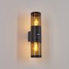 Tolsona Buiten muurverlichting Zwart, 2-lichts, Bewegingsmelder