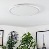 Hortinhas Plafondpaneel LED Wit, 1-licht, Afstandsbediening, Kleurwisselaar