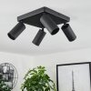 Trutielle Plafondlamp Zwart, 4-lichts