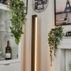 Dubuisson Staande lamp LED Antraciet, 1-licht, Afstandsbediening