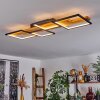 Pompu Plafondlamp LED Zwart, 1-licht