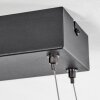 Adak Hanglamp LED Zwart, 1-licht