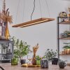 Adak Hanglamp LED Zwart, 1-licht