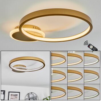 Bina Plafondlamp LED Messing, 1-licht, Afstandsbediening