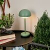 Bellange Tafellamp voor buiten LED Groen, 1-licht