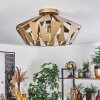 Corralejo Plafondlamp Goud, 1-licht