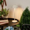 Pelaro Tafellamp voor buiten LED Wit, 1-licht