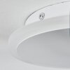Bina Plafondlamp LED Wit, 1-licht, Afstandsbediening