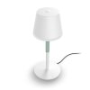 Philips Hue Go Tafellamp voor buiten LED Groen, Wit, 1-licht, Kleurwisselaar