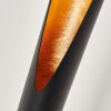 Aleman Staande lamp LED Goud, Zwart, 1-licht