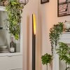 Aleman Staande lamp LED Goud, Zwart, 1-licht