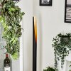 Aleman Staande lamp LED Goud, Zwart, 1-licht