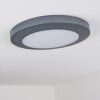 Durivier Buitenshuis plafond verlichting LED Antraciet, 1-licht