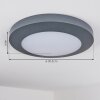 Durivier Buitenshuis plafond verlichting LED Antraciet, 1-licht