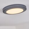 Durivier Buitenshuis plafond verlichting LED Antraciet, 1-licht