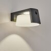 Lafite Solarlamp LED Antraciet, 1-licht, Bewegingsmelder