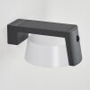 Lafite Solarlamp LED Antraciet, 1-licht, Bewegingsmelder