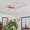 Doyon Plafondlamp LED Goud, Roze, 1-licht
