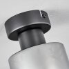 Hunouri Plafondlamp Zwart, 1-licht