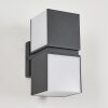 Swanek Buiten muurverlichting LED Antraciet, 2-lichts