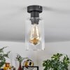 Hunouri Plafondlamp Zwart, 1-licht
