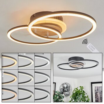 Audouin Plafondlamp LED houtlook, Zwart, 1-licht, Afstandsbediening