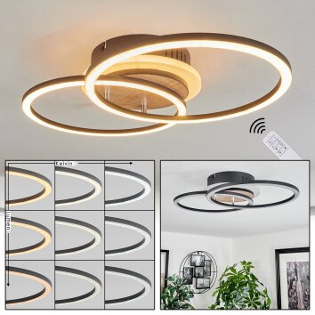 Audouin Plafondlamp LED houtlook, Zwart, 1-licht, Afstandsbediening