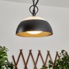 Ancemont Buitenhanglamp LED Zwart, 1-licht