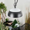 Ancemont Buitenhanglamp LED Zwart, 1-licht