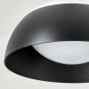 Ancemont Buitenhanglamp LED Zwart, 1-licht