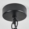 Ancemont Buitenhanglamp LED Zwart, 1-licht