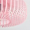 Wemude Plafondlamp Roze, 1-licht