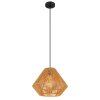 Globo HOUDINI Hanger Zwart, 1-licht